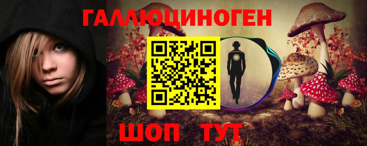 Казань  Псилоцибиновые грибы Psilocybe  Вход с VPN  Псилоцибиновые грибы мицелий 
