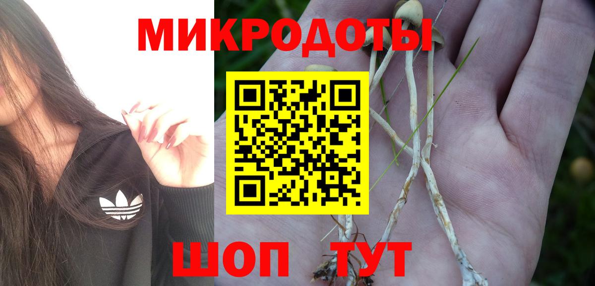 Галлюциногенные грибы прущие грибы Казань
